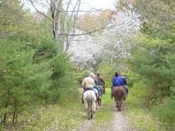 Stepping Stone Ranch